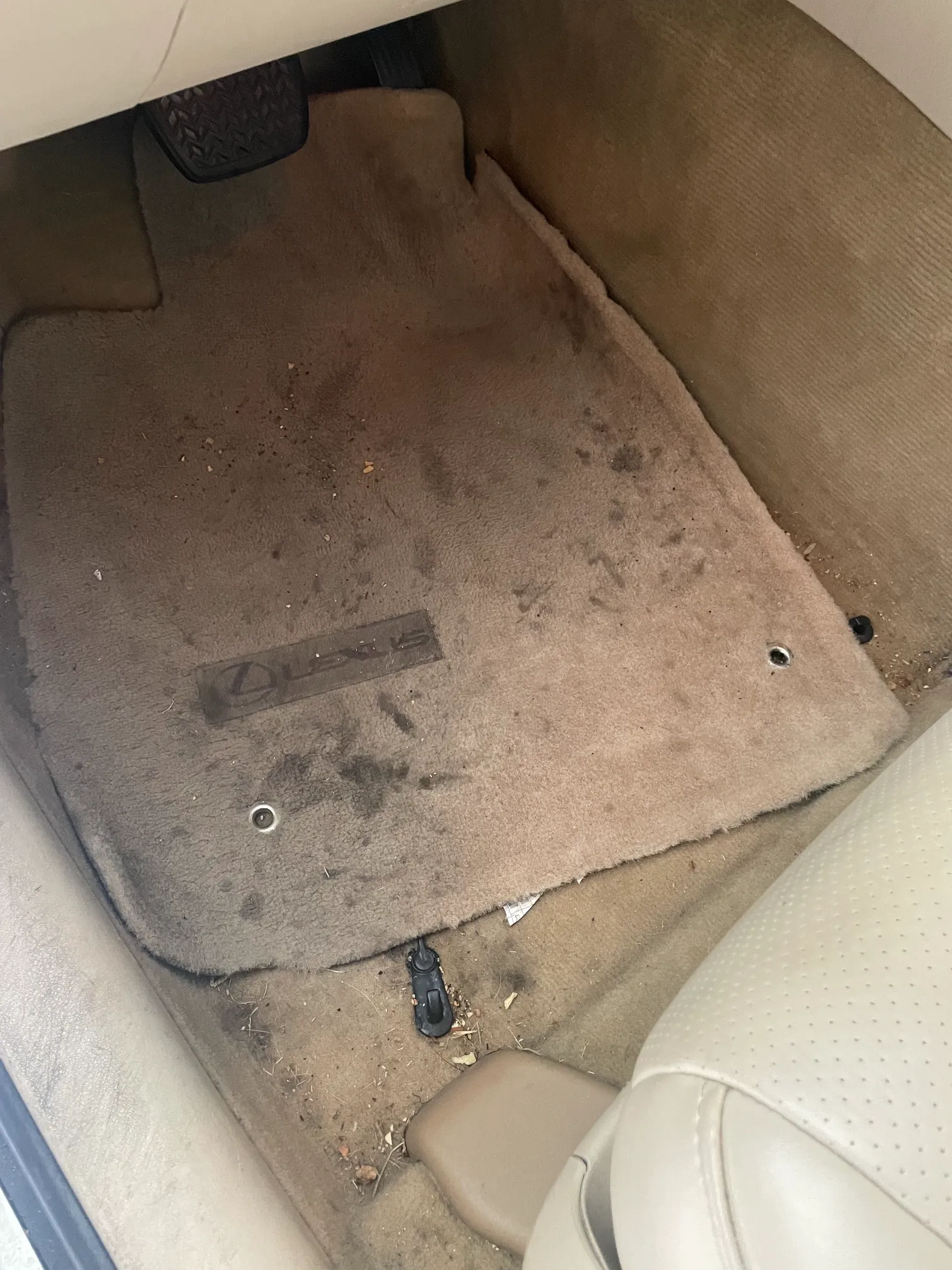 Before image
